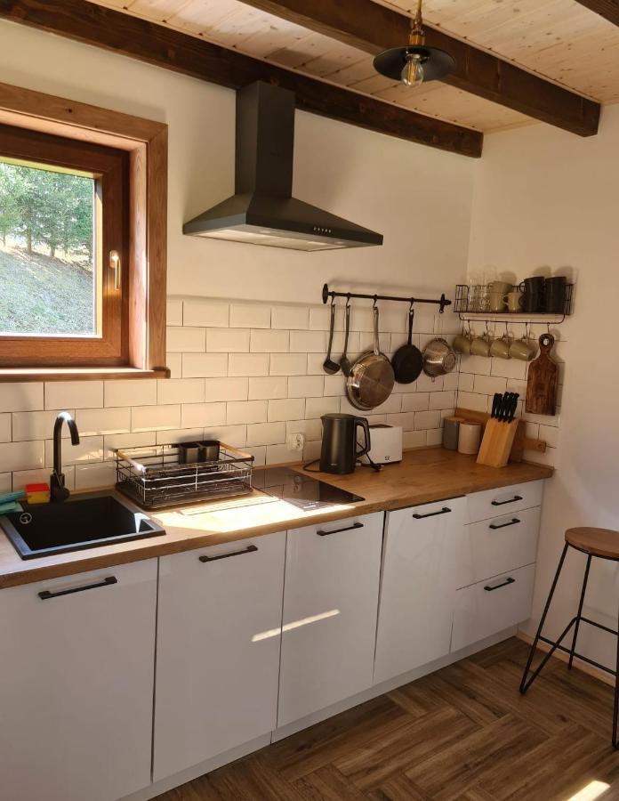 W Bieszczadach Mchawa 144 Chalet Baligrod